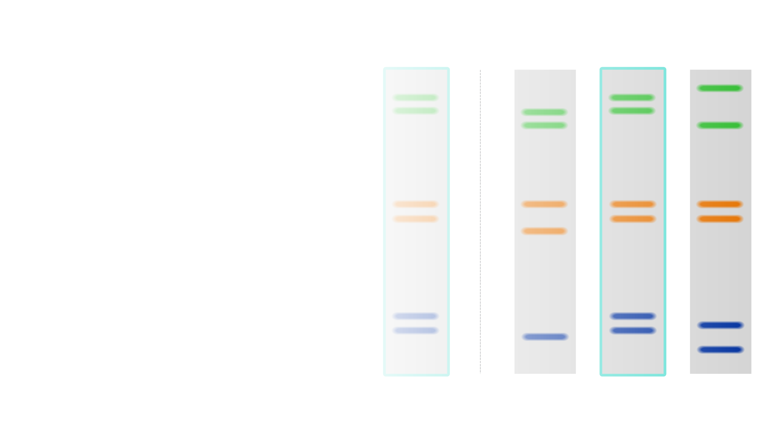 DNA-fingerprinting_hero