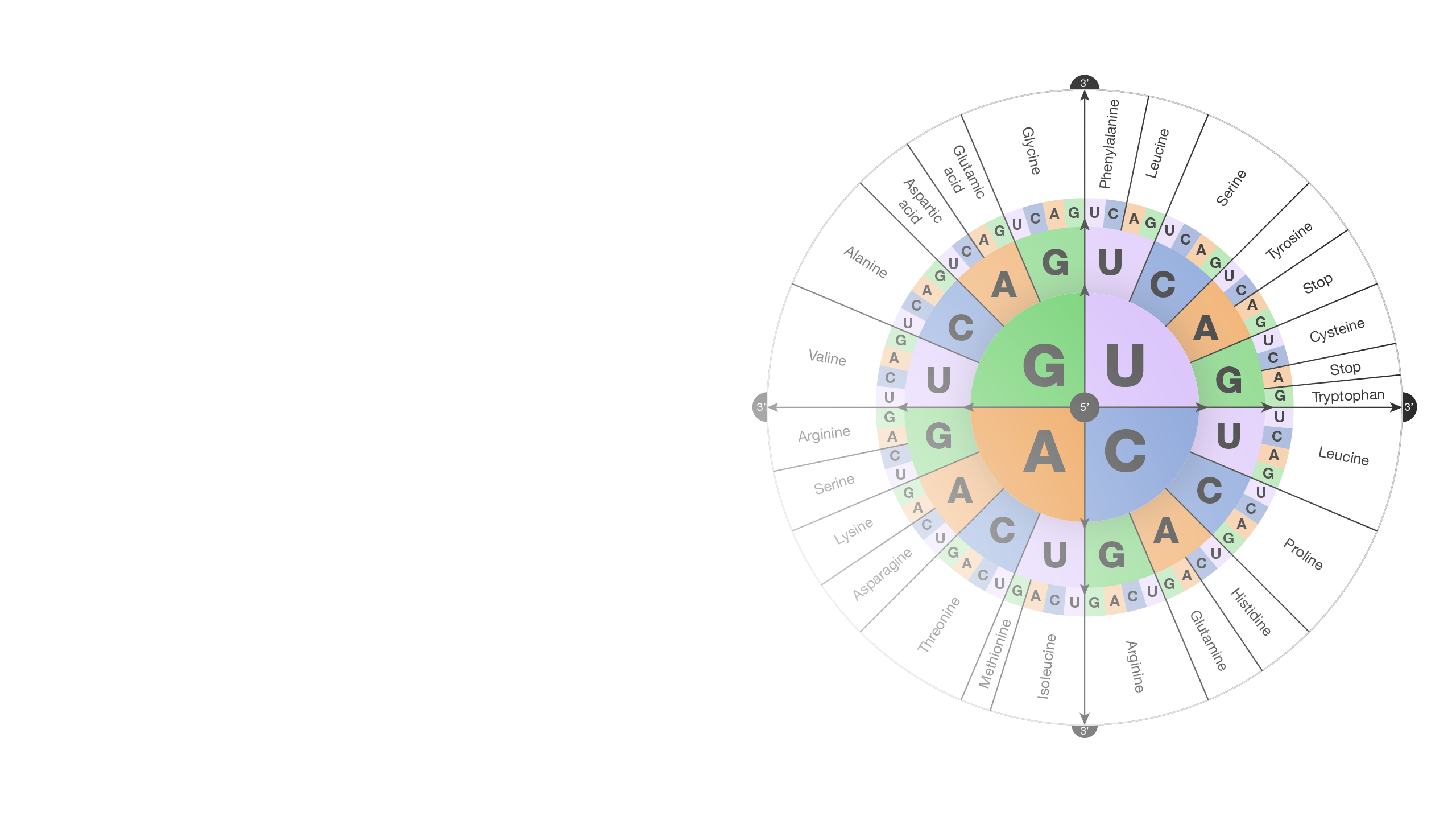 Genetic-code_hero