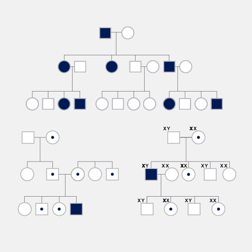 Mendelian-inheritance_dyn