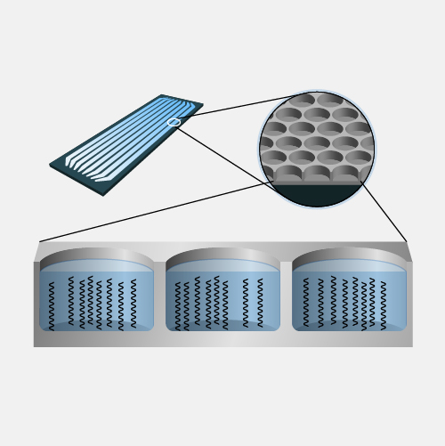 Next-generation-DNA-sequencing_dyn