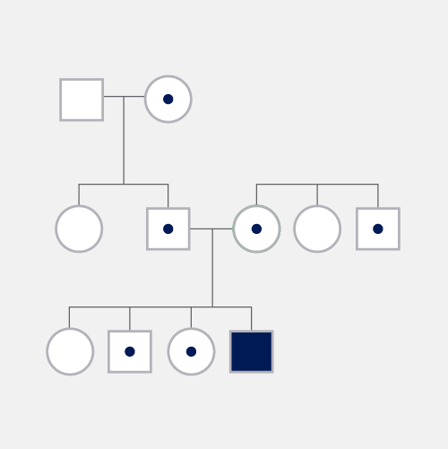 Recessive-traits-and-alleles_dyn