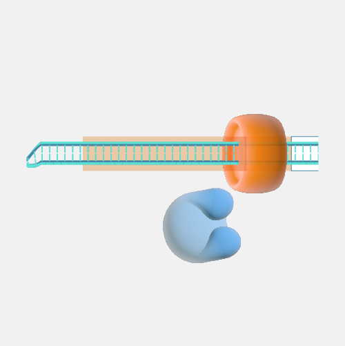 Repressor_dyn