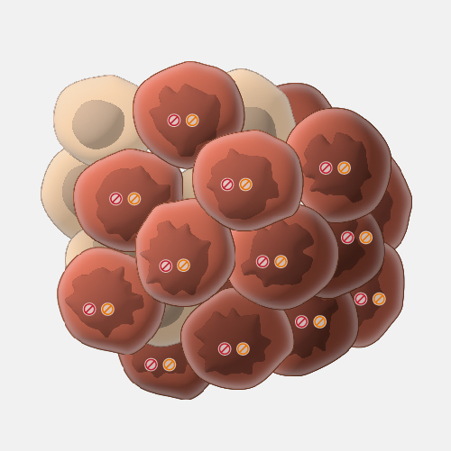 Tumor-suppressor-gene_dyn