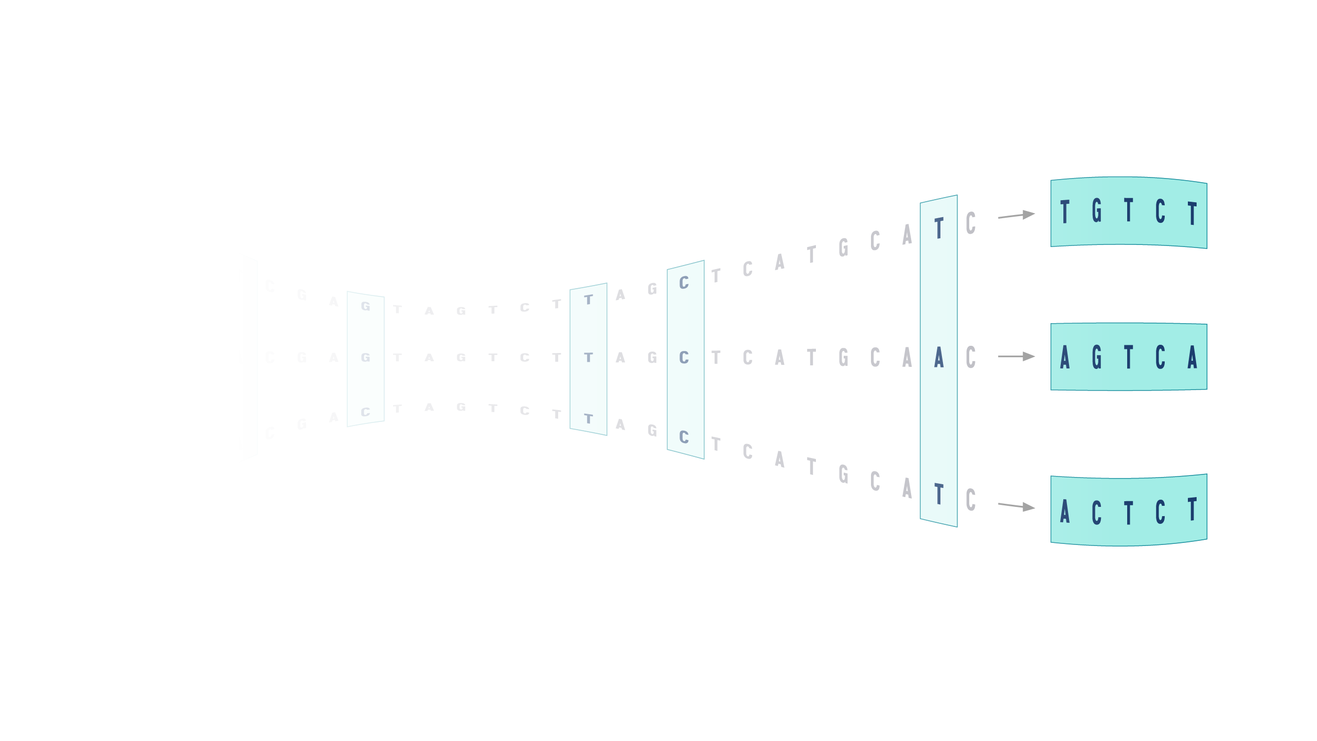 haplotype_hero