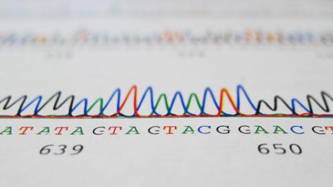 sequence data