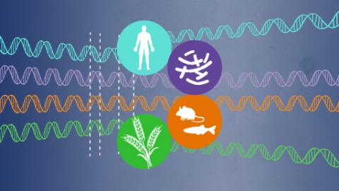 Comparative Genomics