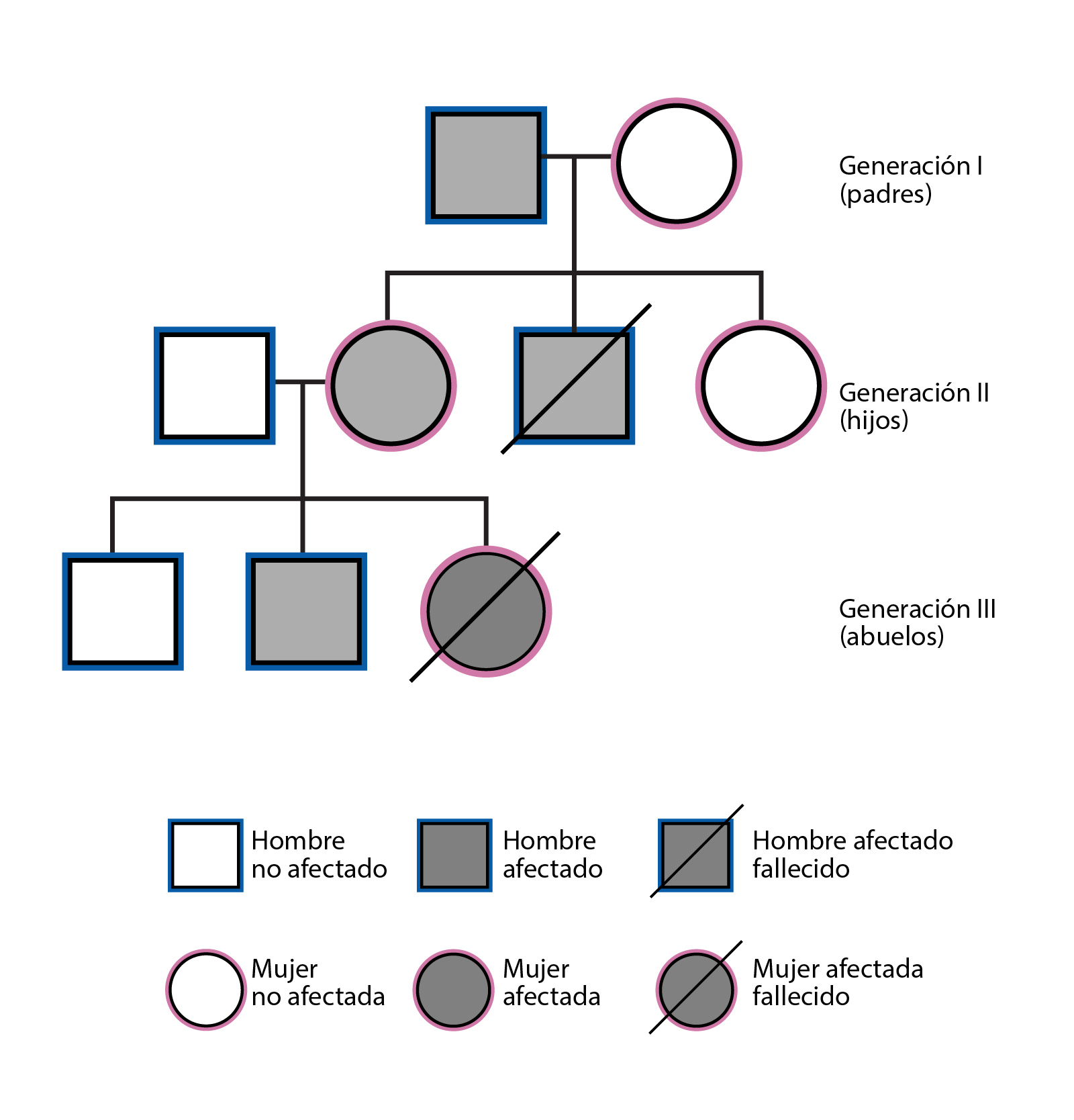  Pedigri____genealogi__a_